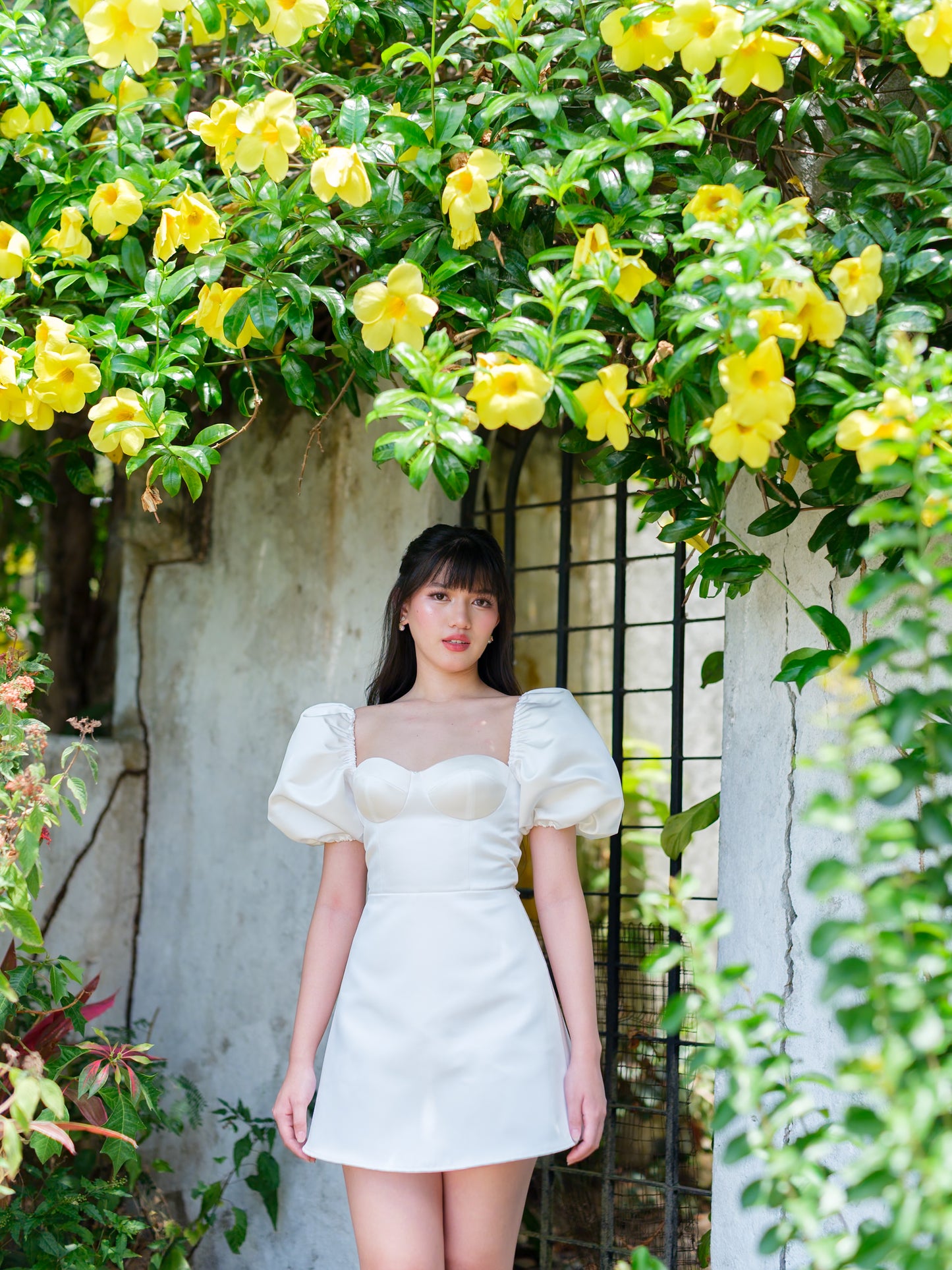Marchesa